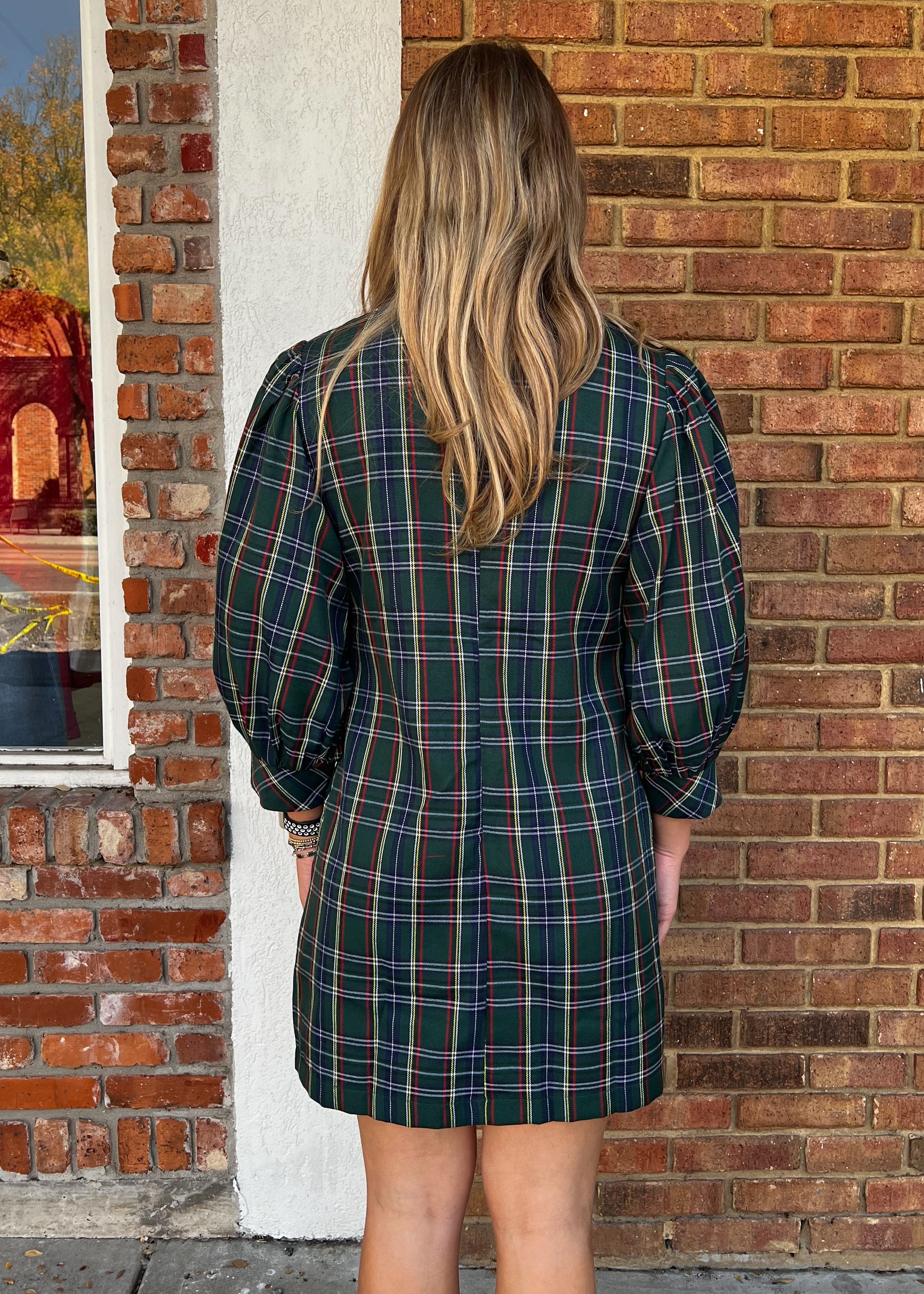 Meri Plaid Button Down Dress