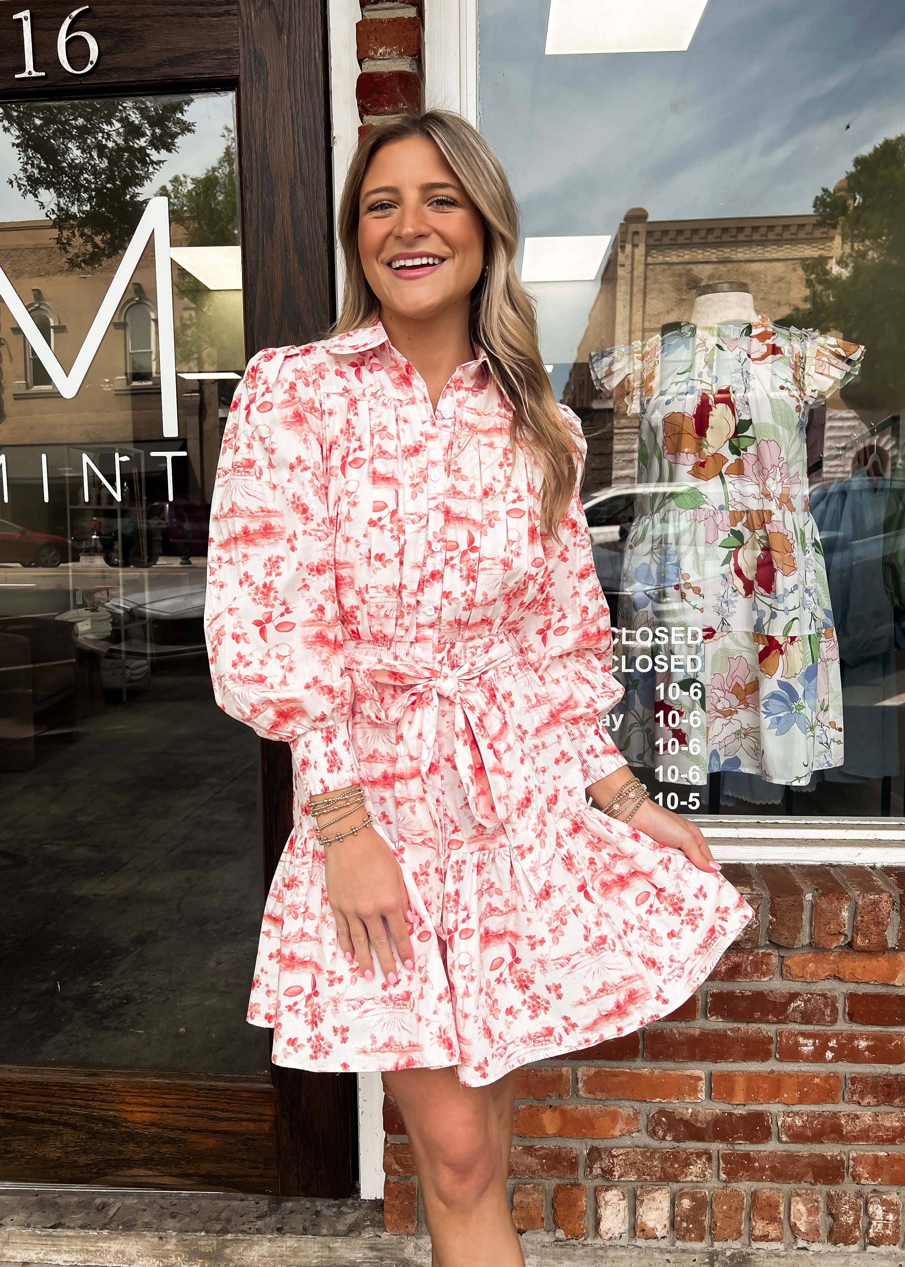 Sincerely Ours: Summer Toile Mini Dress